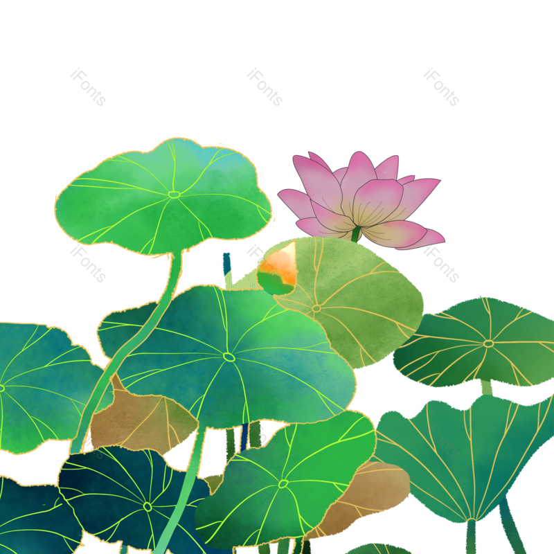 装饰图片,荷花元素,夏天PNG,古风免抠素材